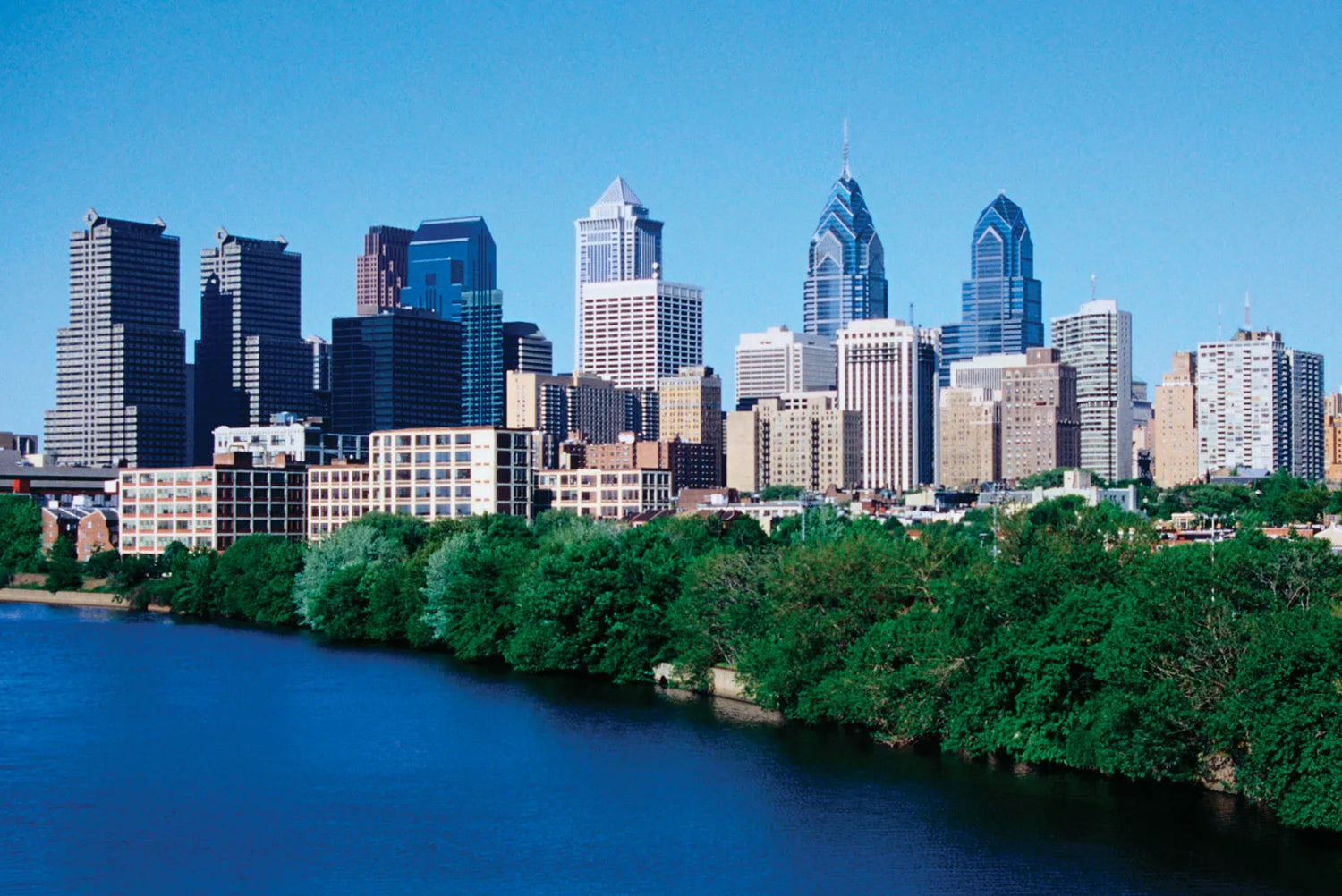 a city skyline with a river and trees