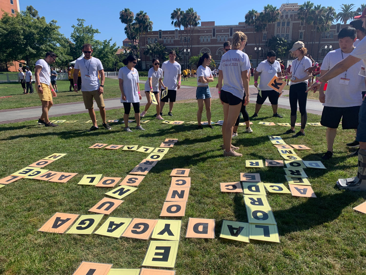 Survivor Games